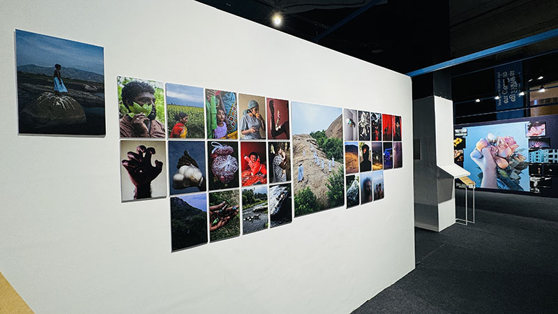 Chennai Photo Biennale 2024 - 20th December 2024